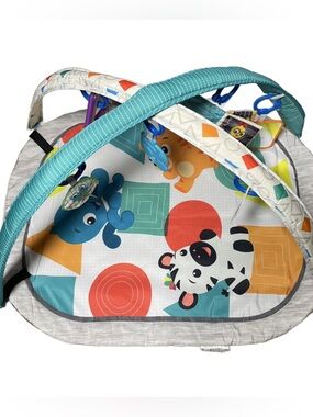 Baby Einstein Colorful Animal Baby Play Gym - Teal, Orange, Red, Blue, White
